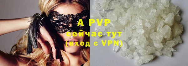 прущие грибы Абдулино