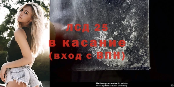 прущие грибы Абдулино